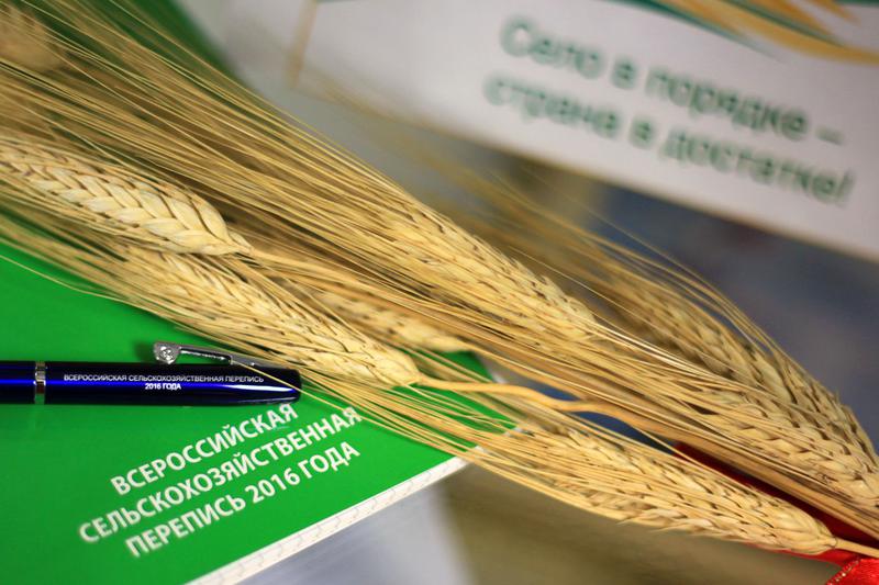 Подведены предварительные итоги сельхозпереписи в Ивановском регионе