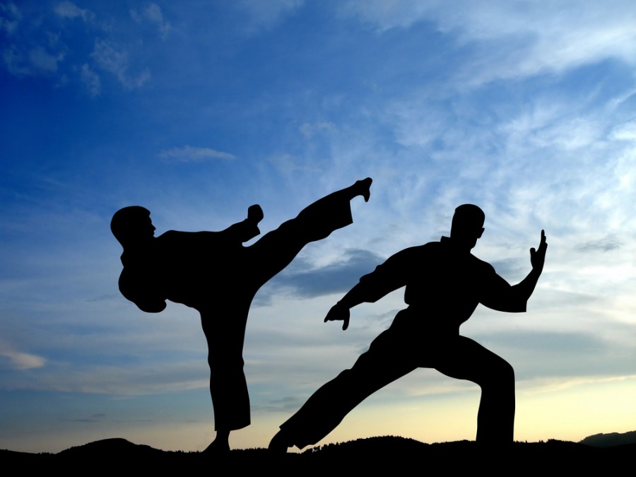 9 спортсменов из Ивановской области примут участие в Первенстве Европы по киокушин карате