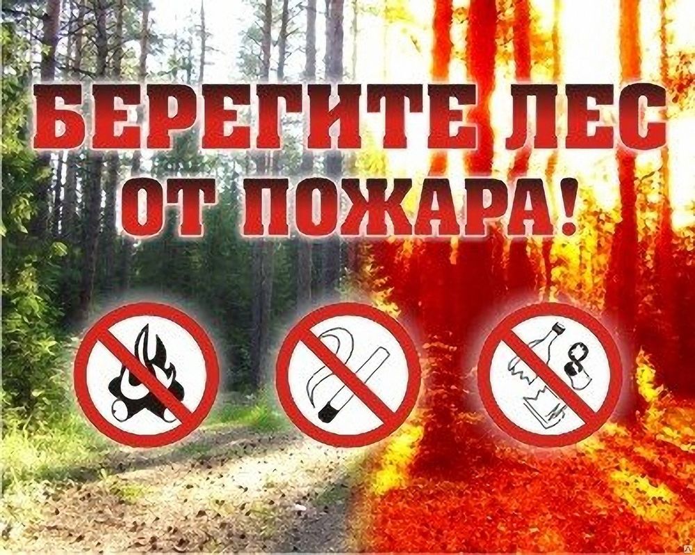 В майские праздники в Ивановской области будет усилена охрана лесов от пожаров