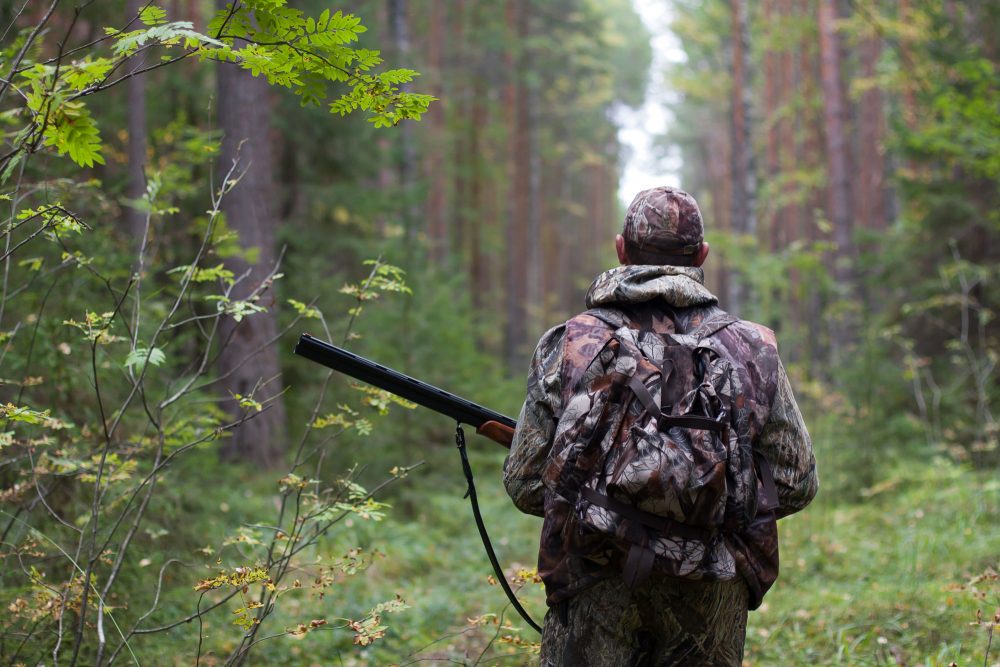 Сезон охоты начнется в Ивановской области с 1 августа