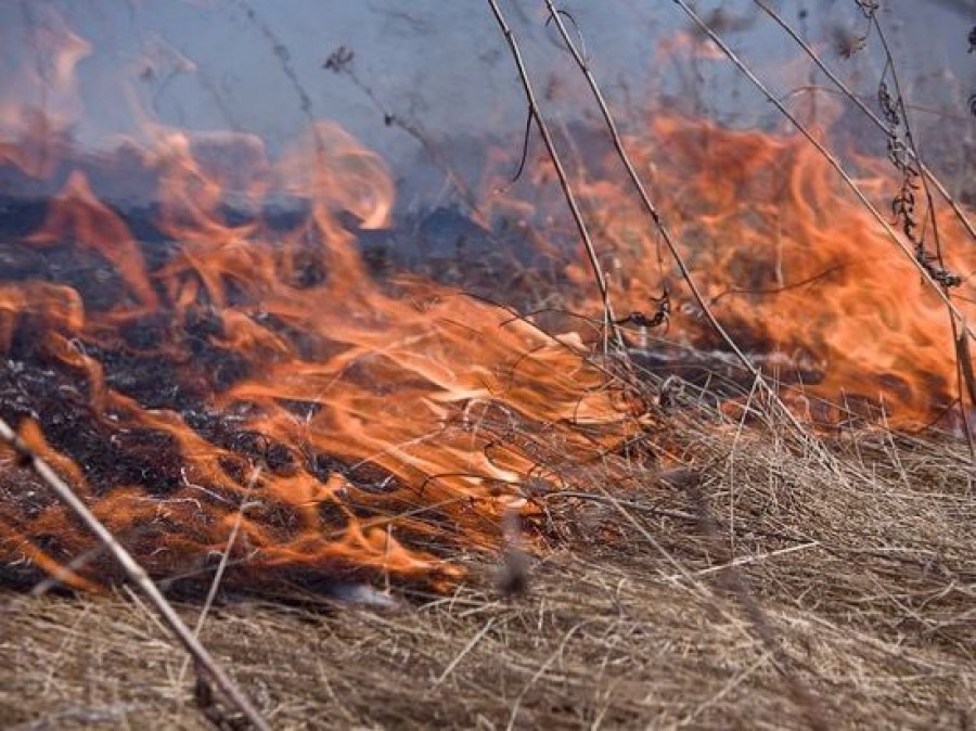 В Ивановской области начался пожароопасный сезон