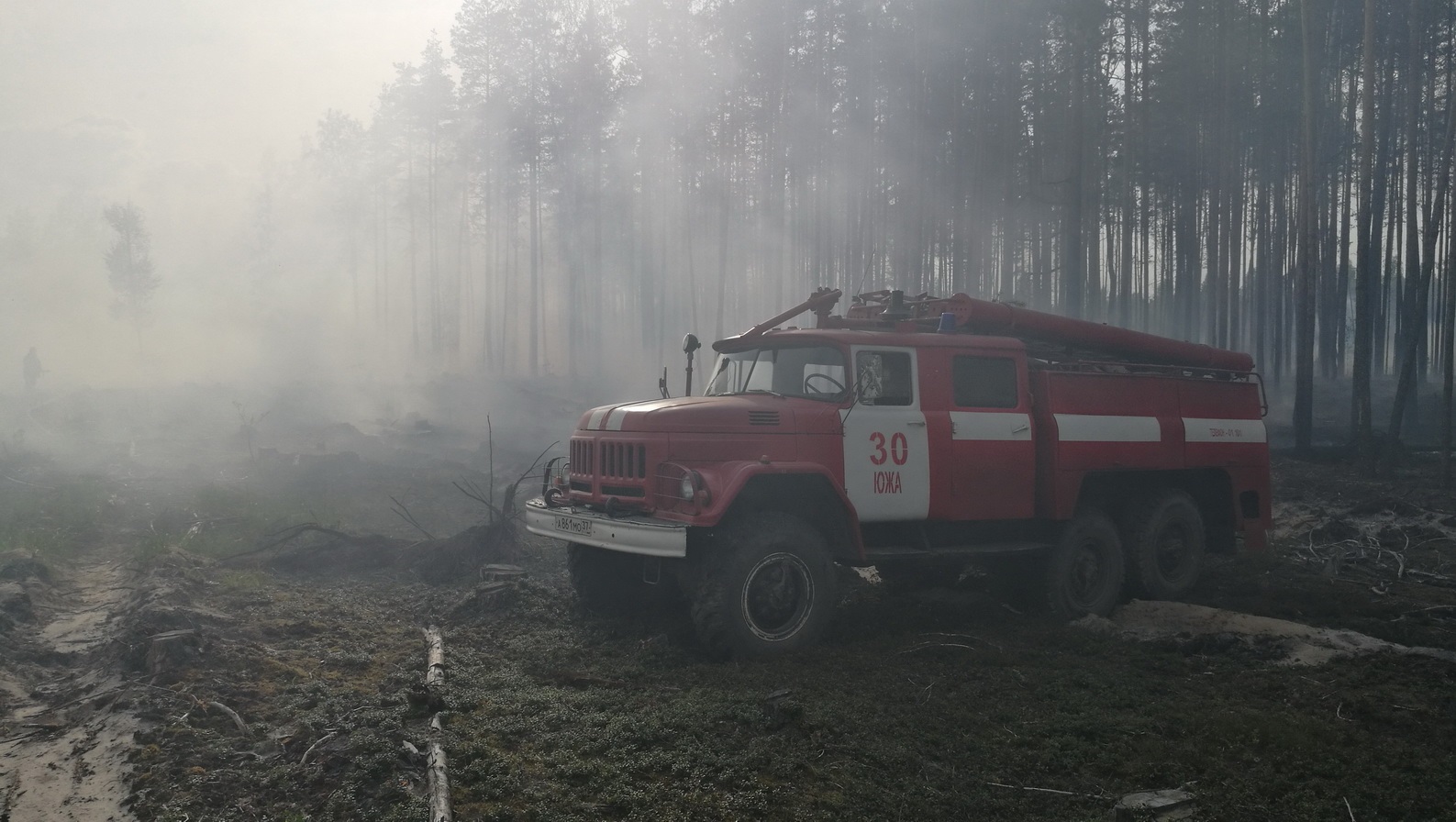 Лесной пожар в Южском районе тушили три часа (ФОТО)
