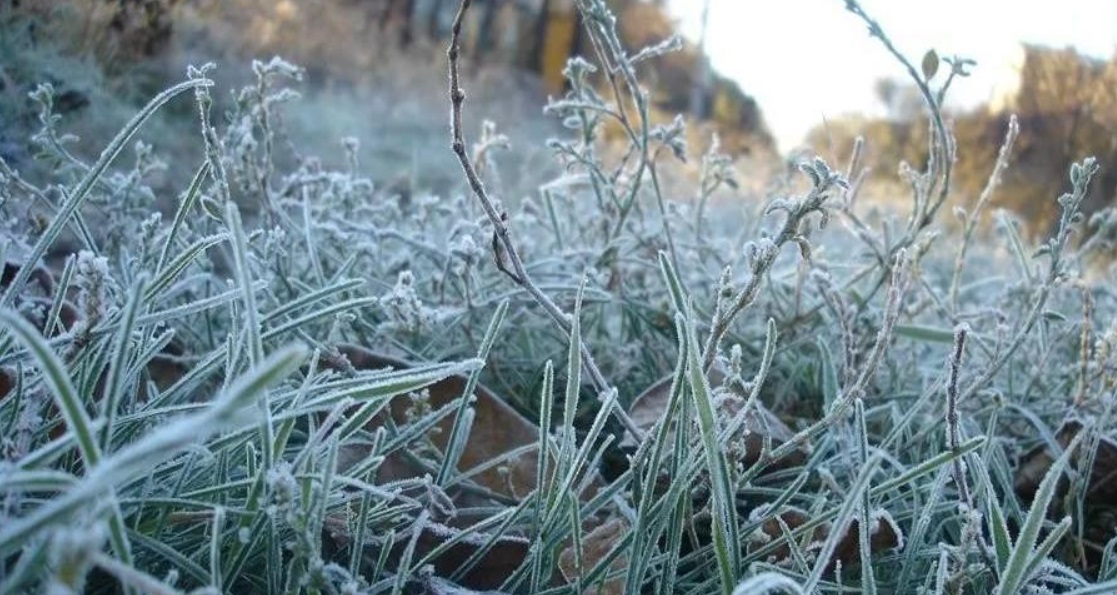 В ближайшие дни в Ивановской области ожидаются заморозки