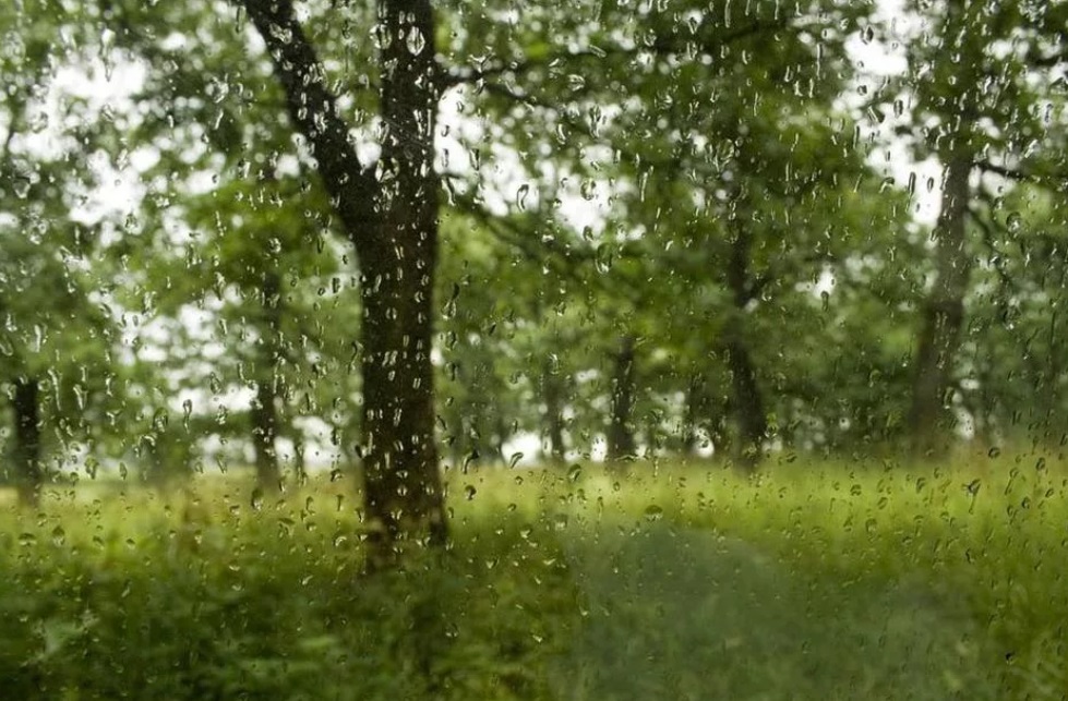 Небольшое похолодание и дожди в Ивановской области обещают на эту неделю синоптики
