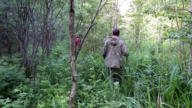 В Ивановском районе грибники нашли труп женщины
