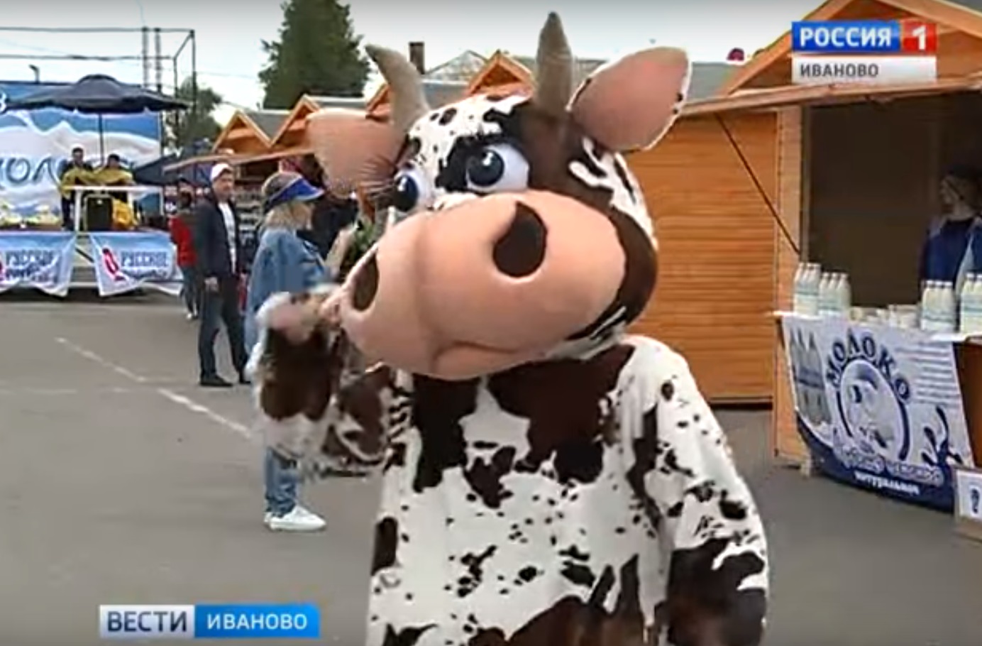 В Ивановской области пройдет второй фестиваль молока