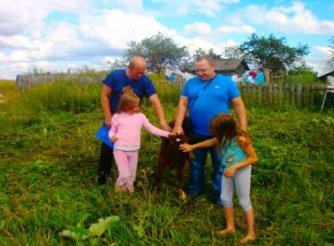 В одном из районов Ивановской области многодетные семьи дарят друг другу теленка