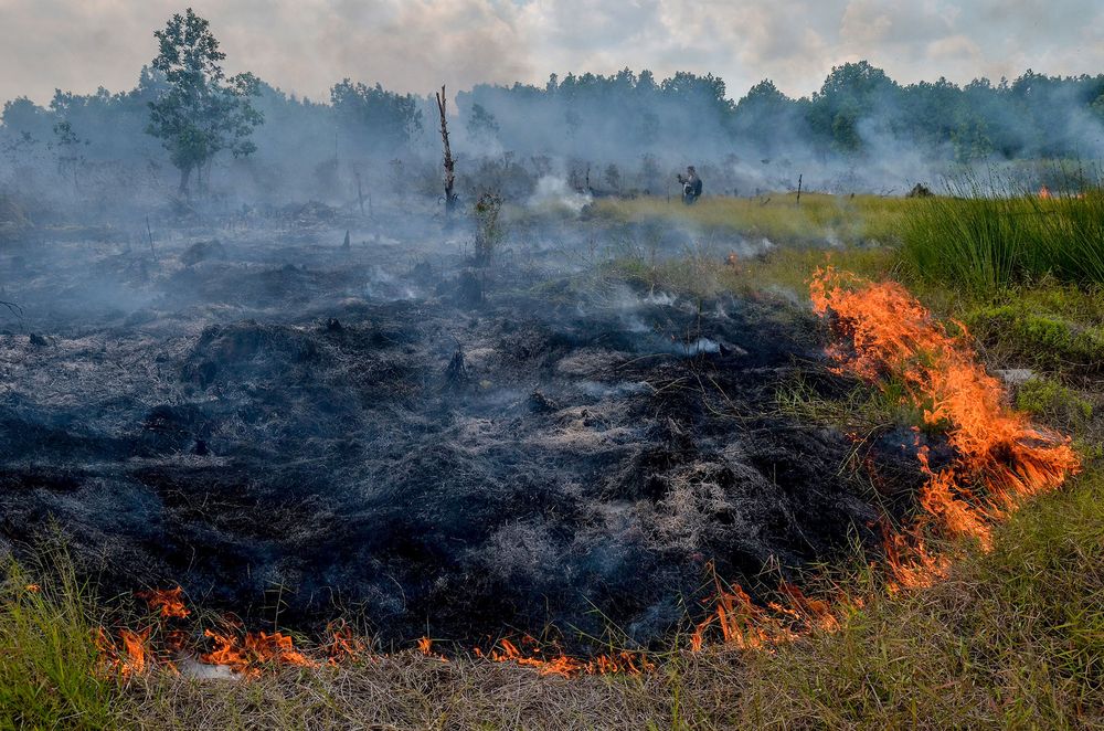 В Ивановской области тушили торфяной пожар