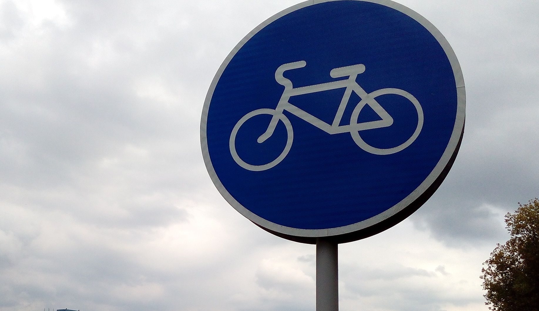 В областном центре официально открыта первая велодорожка (ВИДЕО)