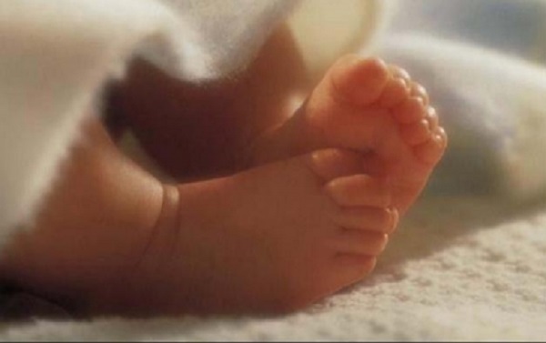 В Ивановской области проводится процессуальная проверка по факту обнаружения тела младенца