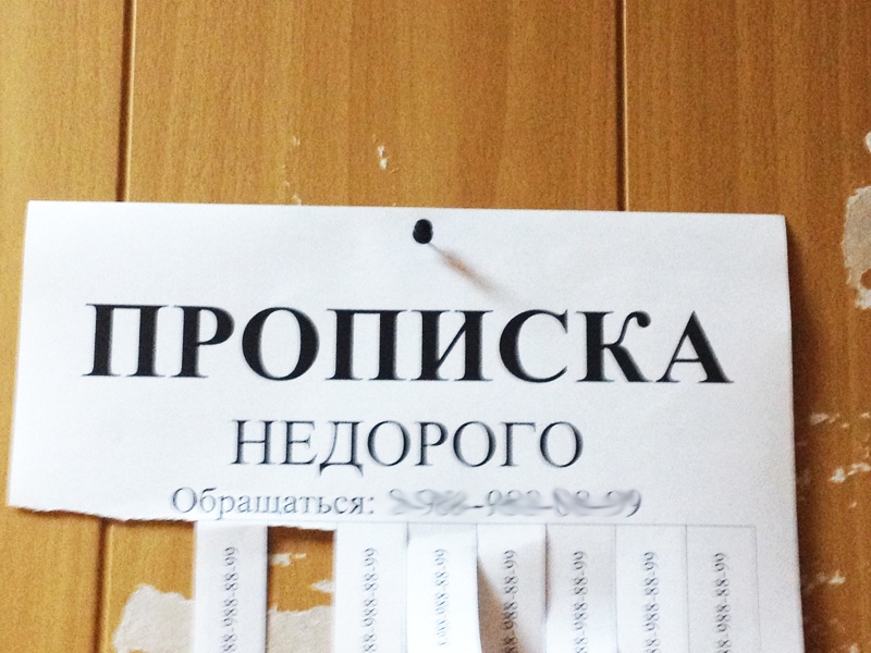 Житель Кандалакши незаконно «приютил» гражданку Украины