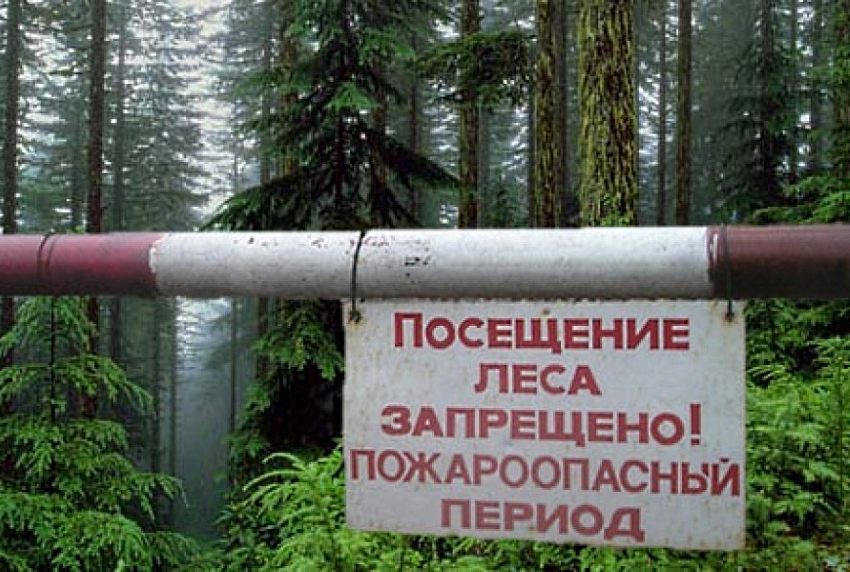 В лесах Ивановской области установлен особый противопожарный режим