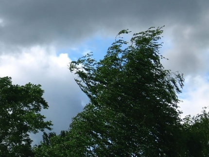 В Ивановской области объявлено штормовое предупреждение